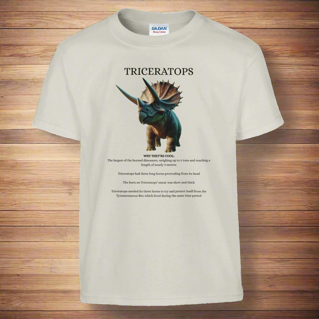 1ac3723c-57fb-43e3-b8db-d198f22a78b5