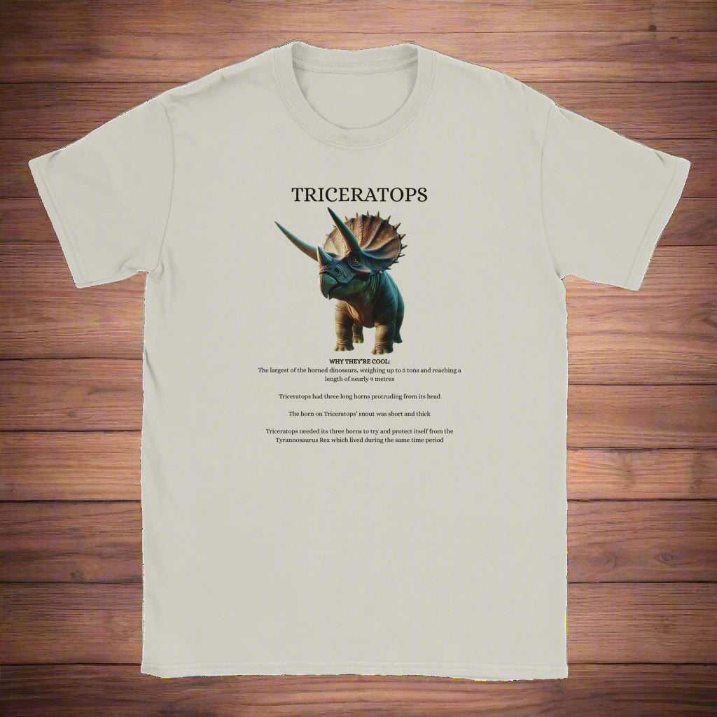 52ac2959-0adc-4fd9-90e2-d22b7563e0f4