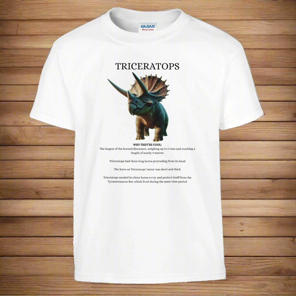 af8bfaa5-dc2d-4efd-8f06-f6b858a549ae