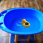 Floating Baby Bathtub Thermometer