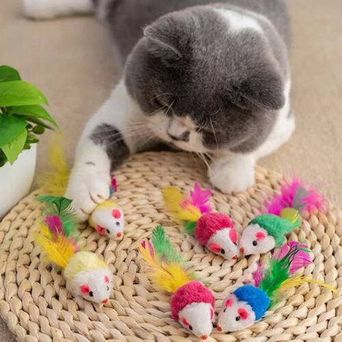 33x Cat Toys Durable Cotton Rope Pull Teeth Clean Chew Toy Set