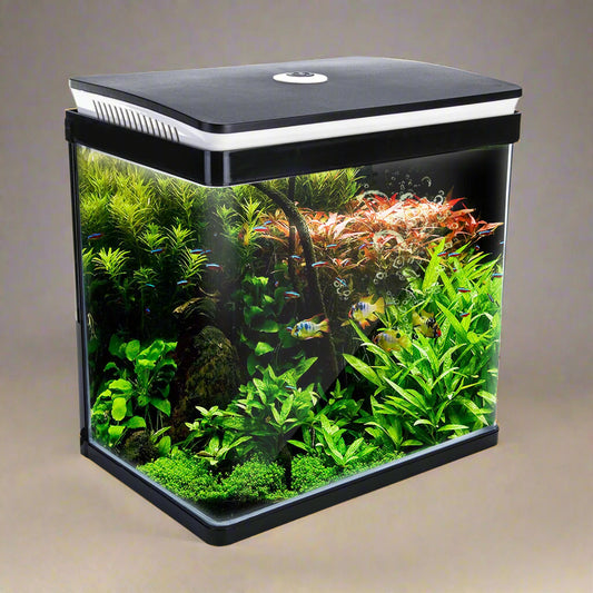 Aquarium Curved Glass RGB LED Fish Tank Set Filter Pump 30L