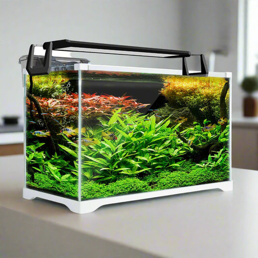 Aquarium Starfire Glass Fish Tank Set Filter Pump 39L