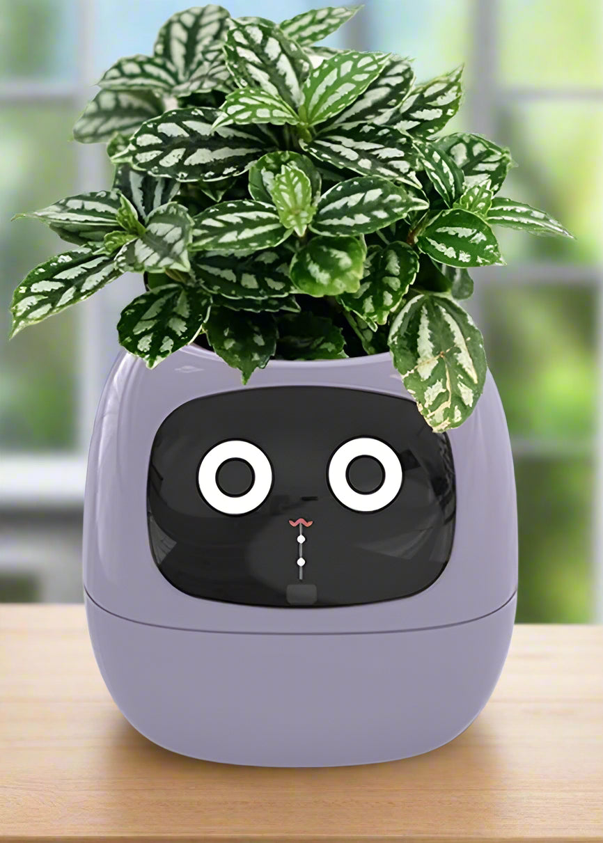 Intelligent Flower Pot, Electronic Bud, Maintenance Plant Assistant, Fun Interactive Flower Pot, Indoor Green Planting Monitoring, LCD Screen Display, Cell Phone APP Connection (Pink, White or Purple)