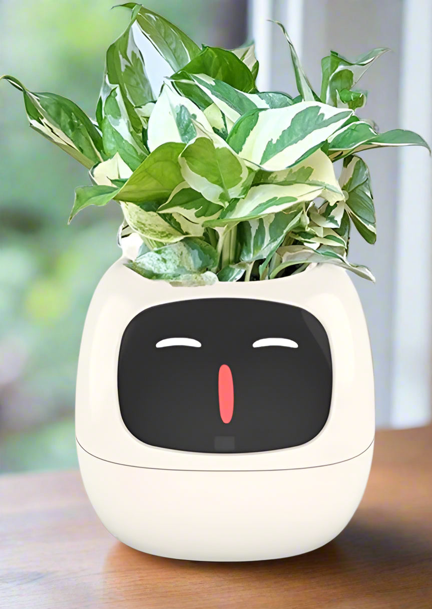 Intelligent Flower Pot, Electronic Bud, Maintenance Plant Assistant, Fun Interactive Flower Pot, Indoor Green Planting Monitoring, LCD Screen Display, Cell Phone APP Connection (Pink, White or Purple)